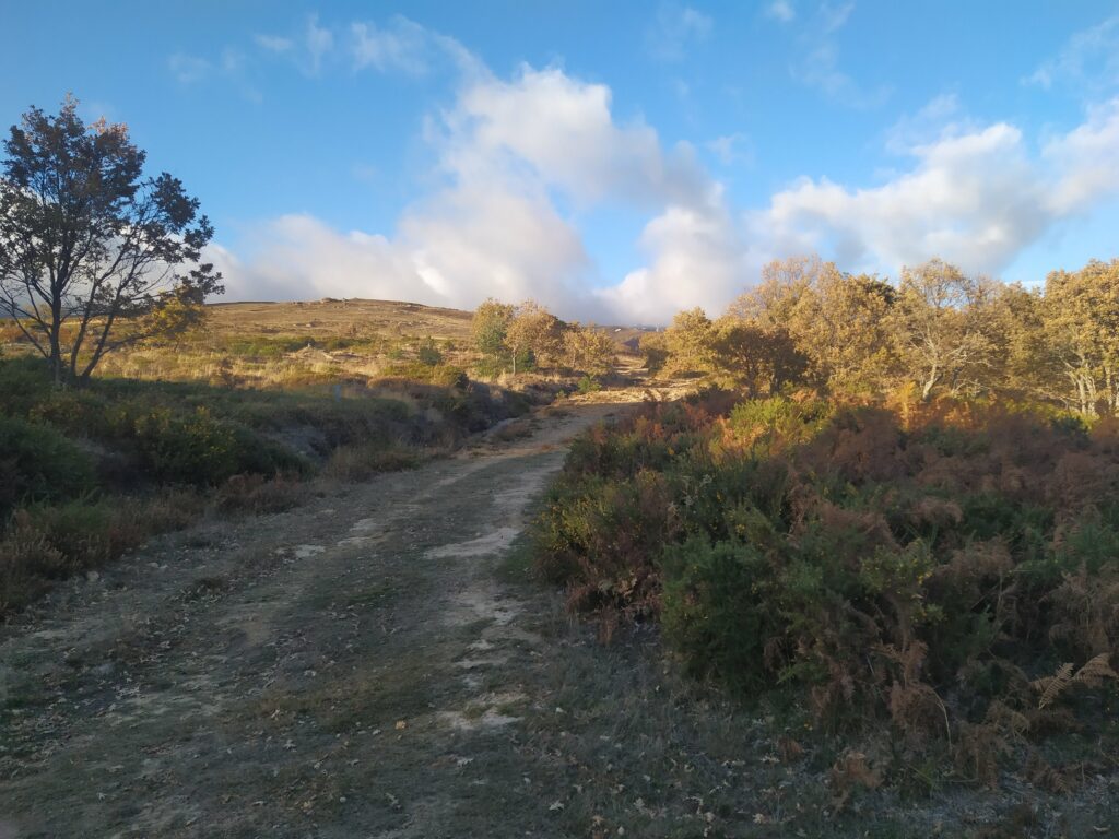 Seguimos subiendo por la ladera