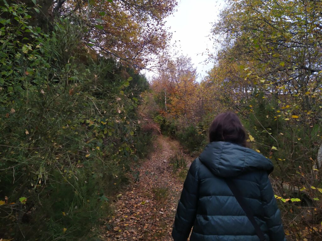Estamos en Otoño y el sendero cubierto por hojas de diferentes colores