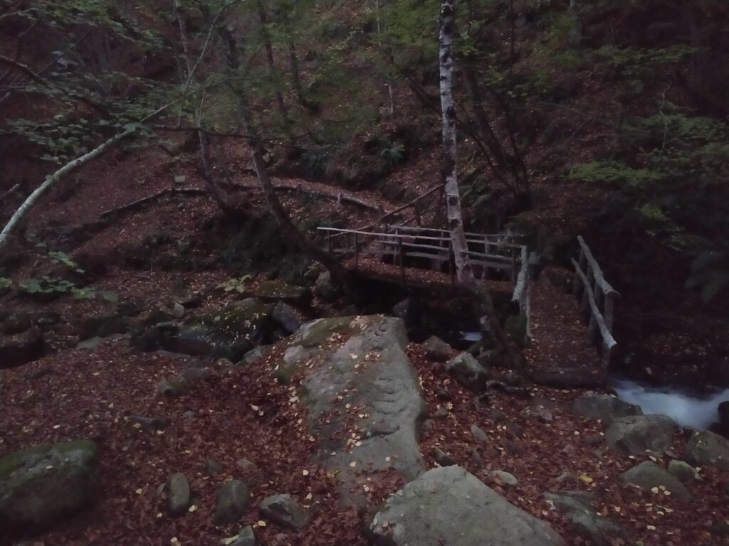 Cruzamos el arroyo de San Miguel por un puente de madera