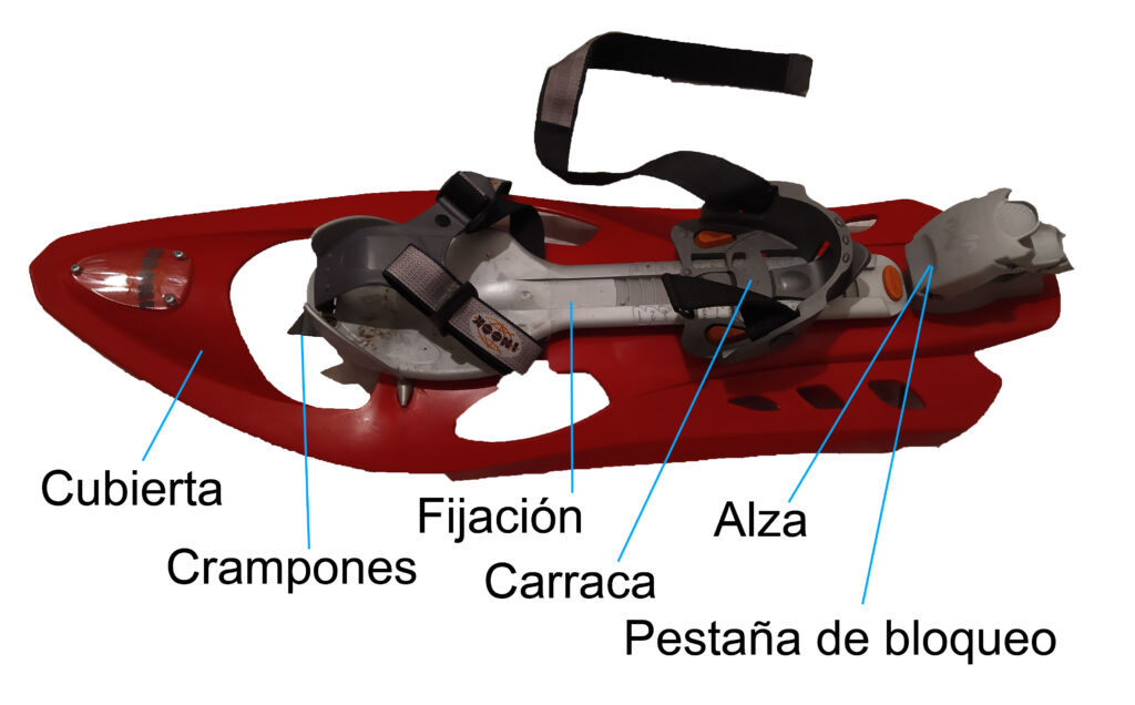 Elementos de una raqueta de nieve
