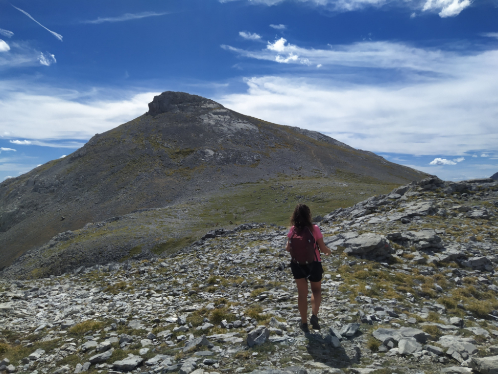 Colladina de las nieves