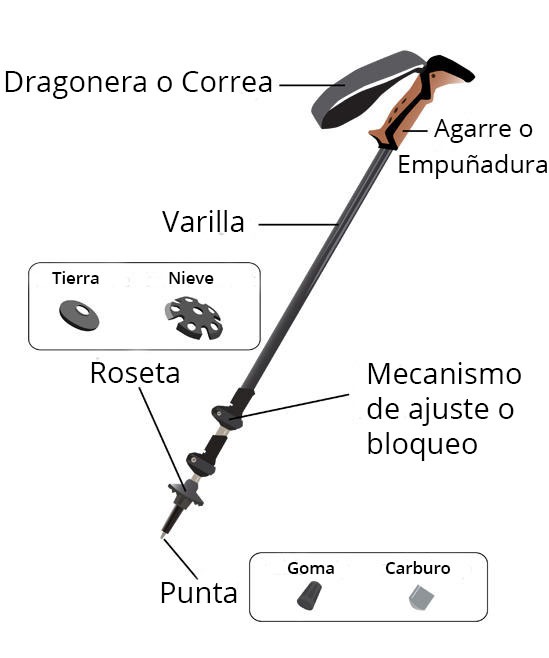 Altura para Bastones de Trekking: Talla recomendada